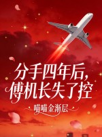分手四年后,傅机长失了控