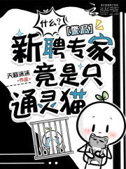 什么?警局新聘专家竟是只通灵猫