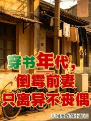 穿书年代,倒霉前妻只离异不丧偶