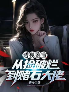 透视鉴宝:从捡破烂到赌石大佬