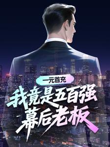 一元首充:我竟是五百强幕后老板
