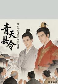 青天县令:叶泽宇